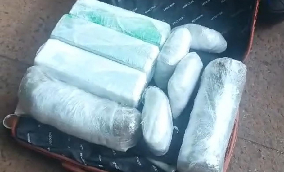 PMPR apreende 19 quilos de maconha na rodoviária de Curitiba