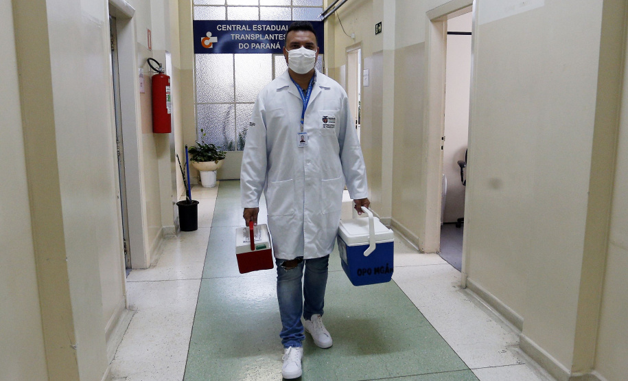 SESA TRANSPLANTES 2025