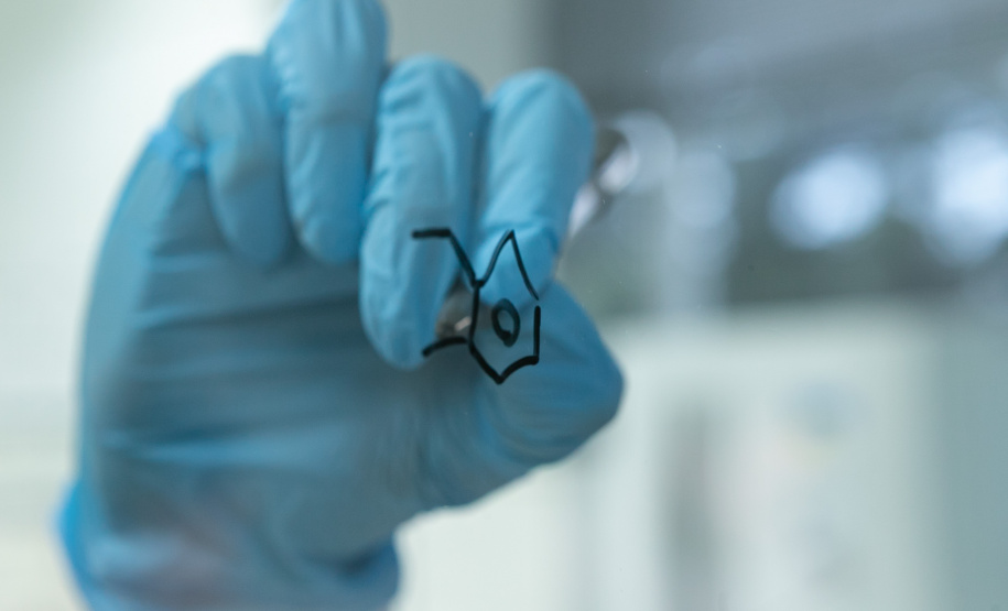 POLÍCIA CIENTÍFICA - COCAÍNA ROSA