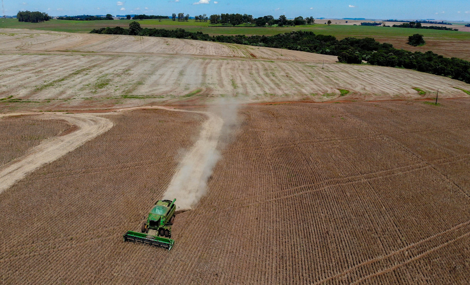 BOLETIM AGRO FEIJÃO