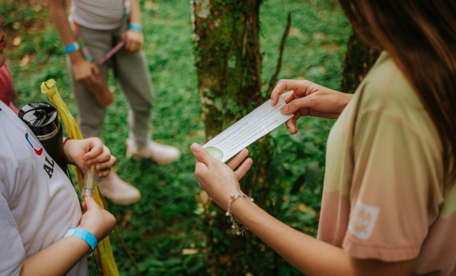 SETU DIVERSAS OPÇÕES CARNAVAL