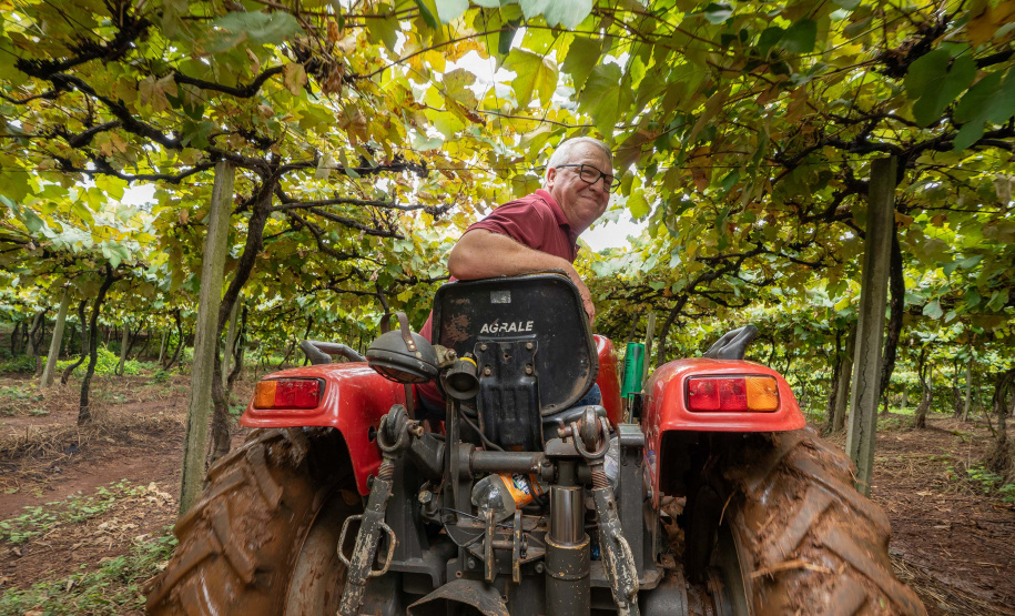 SETU CAMINHO DO VINHO BITURUNA