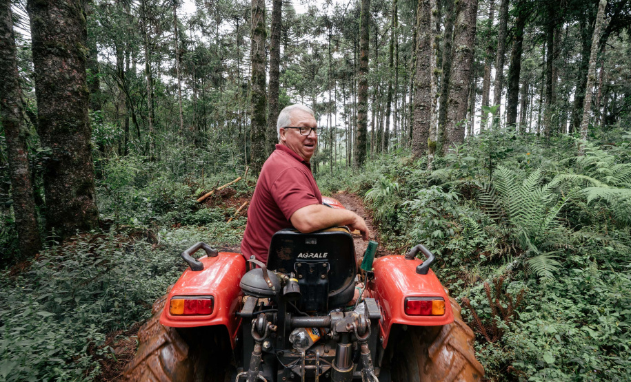 SETU CAMINHO DO VINHO BITURUNA