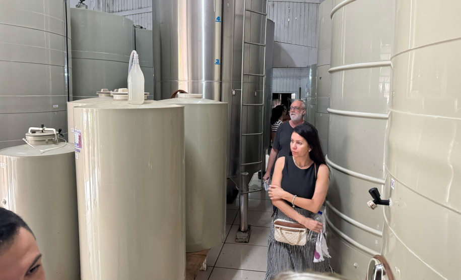 SETU CAMINHO DO VINHO BITURUNA