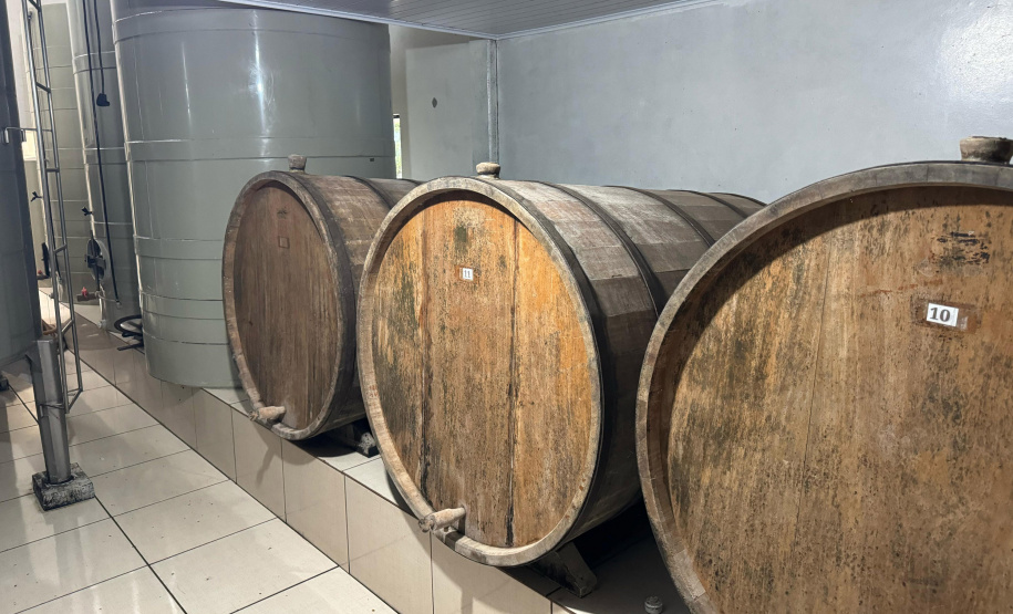 SETU CAMINHO DO VINHO BITURUNA