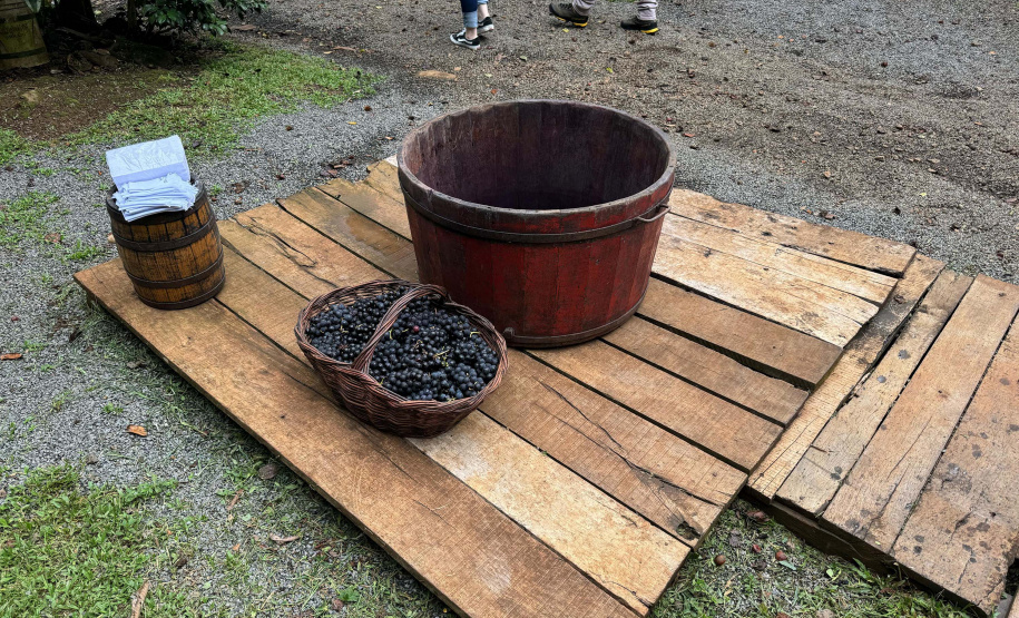 SETU CAMINHO DO VINHO BITURUNA