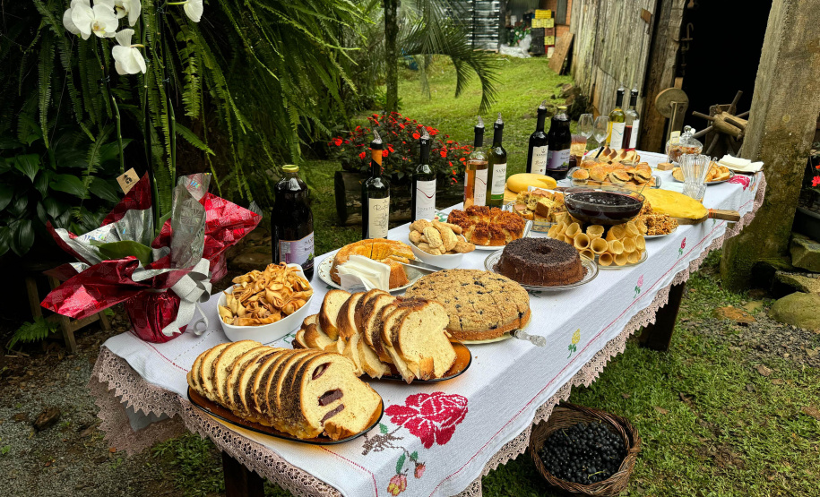 SETU CAMINHO DO VINHO BITURUNA