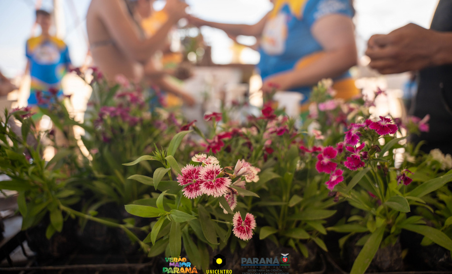 Universidades estaduais atraíram mais de 27 mil pessoas no Verão Maior Paraná