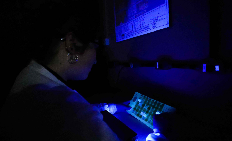 Composto por três laboratórios, a estrutura do IAT faz análises regulares de amostras de água, solo, sedimentos e peixes para a identificação de contaminantes e poluentes