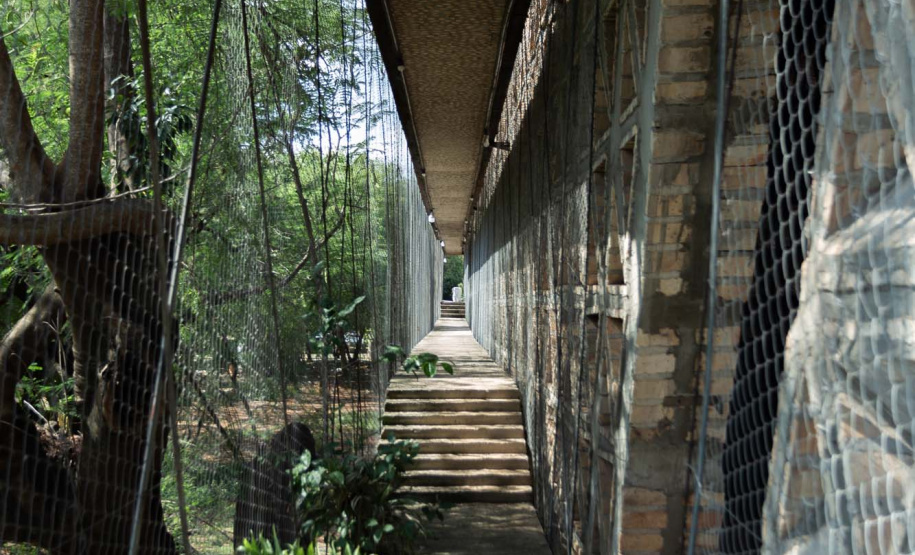 Equipe do Museu Internacional de Arte acompanha fase de estudos do projeto arquitetônico em Assunção