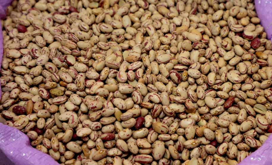 BOLETIM AGRO FEIJÃO