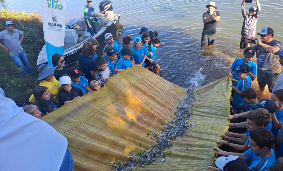 Superintendência Geral das Bacias Hidrográficas e Pesca/SEDEST