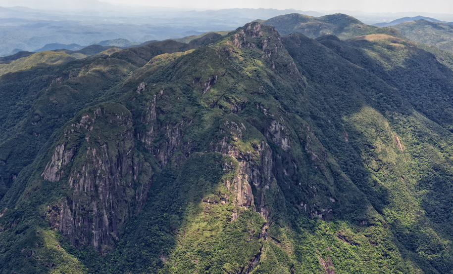 Levantamento do Instituto Água e Terra (IAT) revelou que o Paraná reduziu em 73% o desmatamento ilegal em 2024.