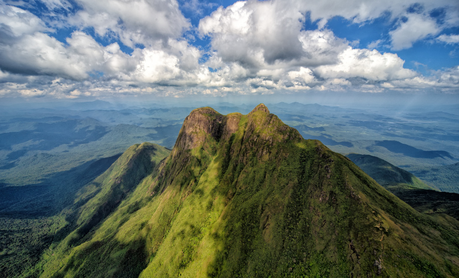 Levantamento do Instituto Água e Terra (IAT) revelou que o Paraná reduziu em 73% o desmatamento ilegal em 2024.