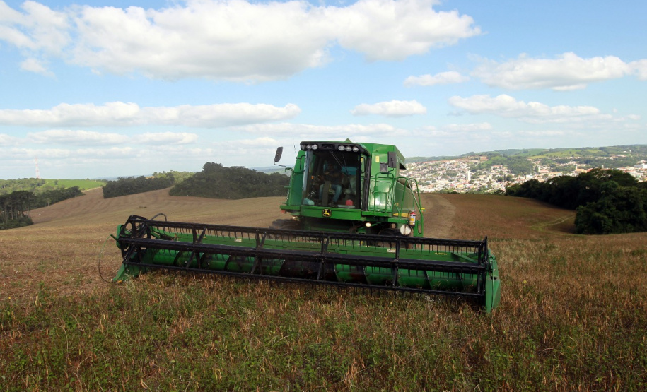 BOLETIM AGRO FEIJÃO