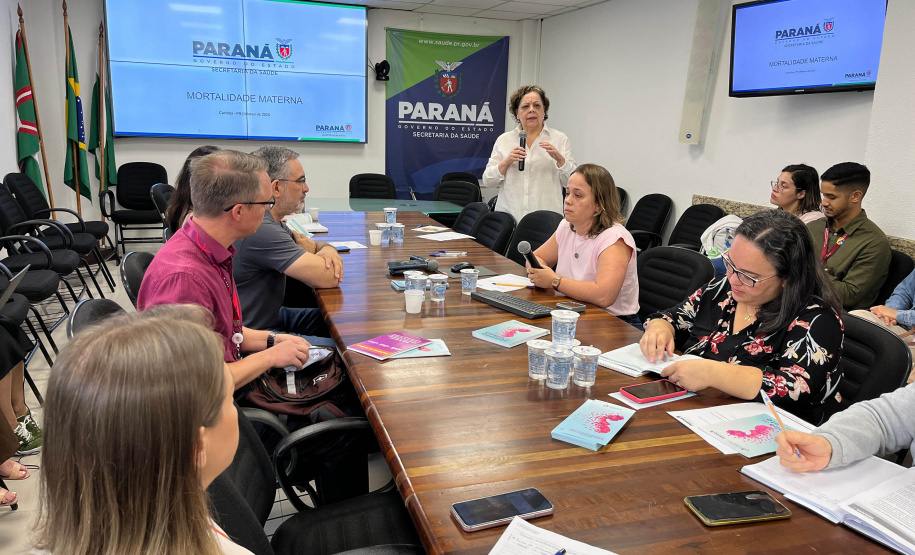 Sesa reforça estratégias para prevenção da mortalidade materna, infantil e fetal no Paraná