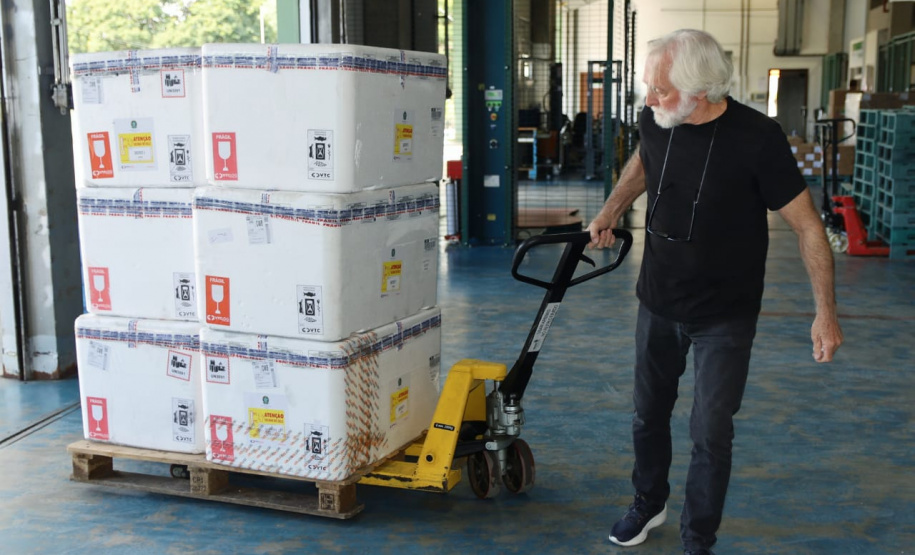 Paraná recebe 332 mil vacinas contra Influenza e se prepara para início da campanha