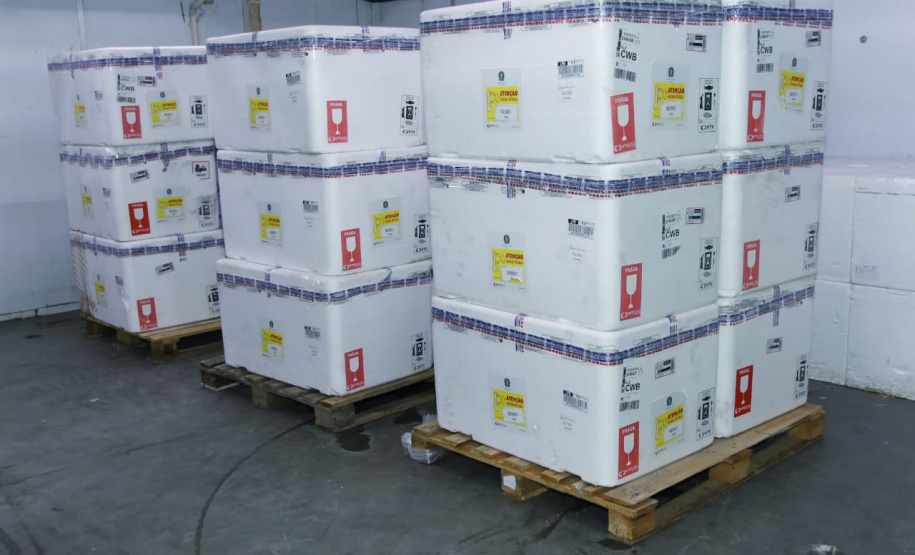 Paraná recebe 332 mil vacinas contra Influenza e se prepara para início da campanha