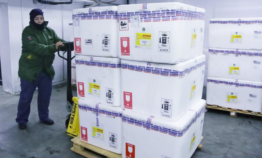 Paraná recebe 332 mil vacinas contra Influenza e se prepara para início da campanha