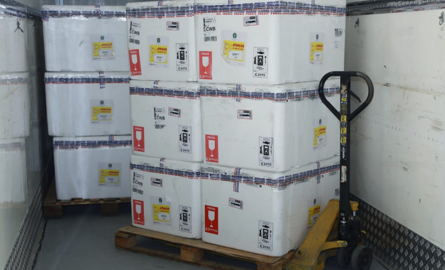 Paraná recebe 332 mil vacinas contra Influenza e se prepara para início da campanha