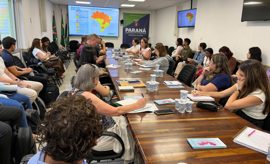 Sesa reforça estratégias para prevenção da mortalidade materna, infantil e fetal no Paraná