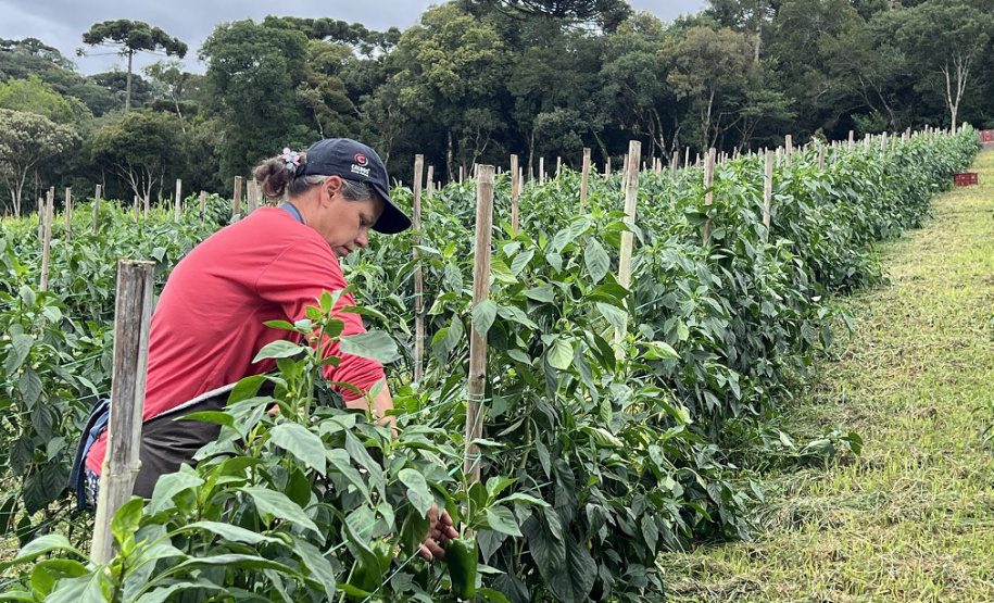 Sanepar participa de Jornada Empreendedora que incentiva a agricultura sustentável no Miringuava