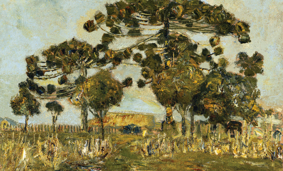 O Museu Oscar Niemeyer (MON) promove oficinas e mediações gratuitas