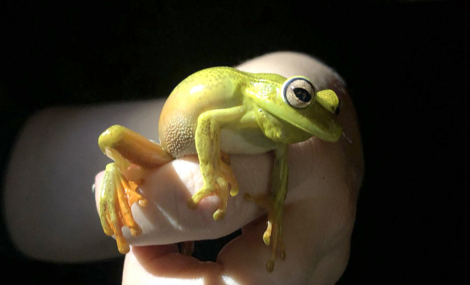 Programa ambiental Ponte de Guaratuba