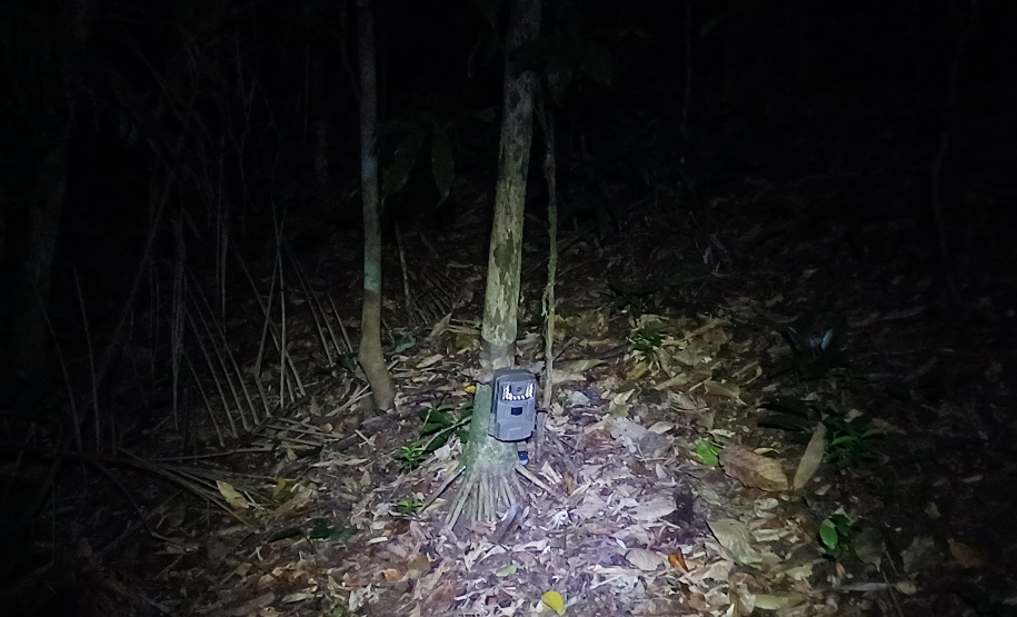 Programa ambiental Ponte de Guaratuba