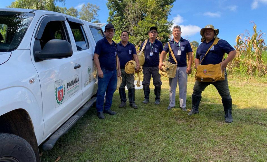 Primeira captura de aranhas-marrons do ano chega ao CPPI para extração do veneno
