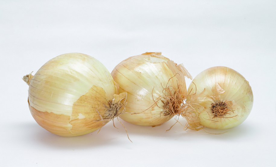 BOLETIM AGRO - CEBOLA