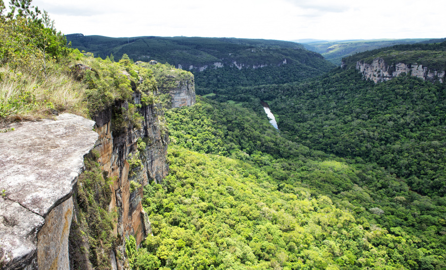 Parque Estadual Vale do Codó, em Jaguariaíva: preservação ambiental como estratégia para conter as mudanças climáticas, tema da 5ª Conferência Estadual do Meio Ambiente.
