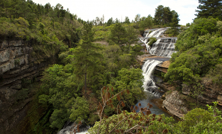 Parque Estadual Vale do Codó, em Jaguariaíva: preservação ambiental como estratégia para conter as mudanças climáticas, tema da 5ª Conferência Estadual do Meio Ambiente.