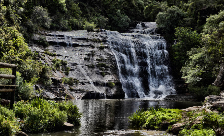 Parque Estadual Vale do Codó, em Jaguariaíva: preservação ambiental como estratégia para conter as mudanças climáticas, tema da 5ª Conferência Estadual do Meio Ambiente.
