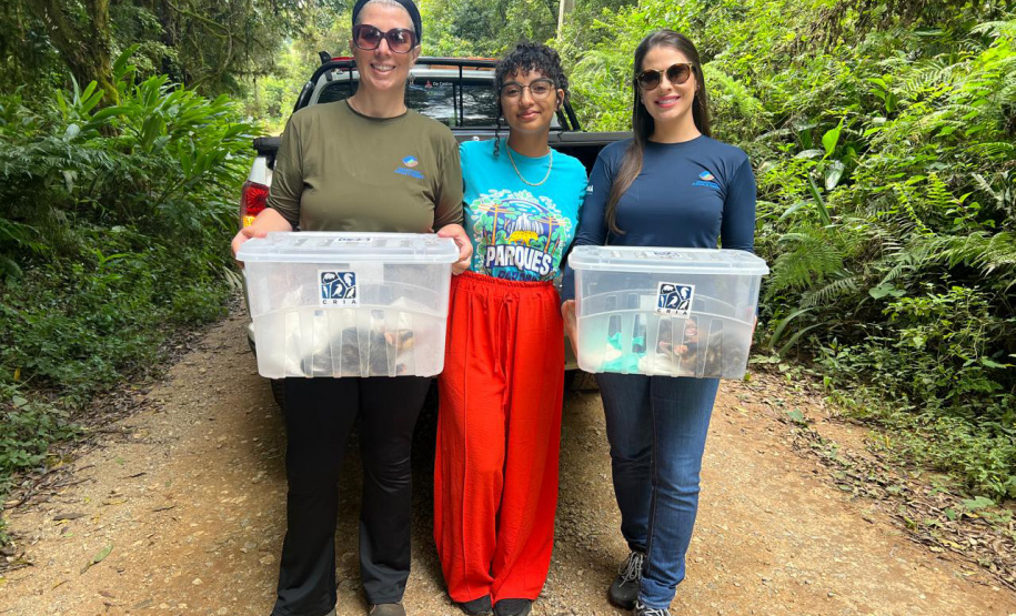 IAT promoveu a soltura de seis gambás-de-orelha-branca que estavam sob cuidados dos participantes do programa de Voluntariado para Cuidados e Reabilitação Intensiva de Animais Silvestres (CRIA)