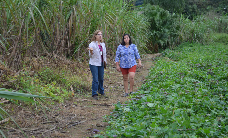 IDR-Paraná tem ações voltadas ao fortalecimento das mulheres no meio rural