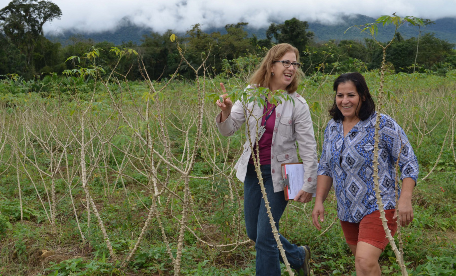IDR-Paraná tem ações voltadas ao fortalecimento das mulheres no meio rural