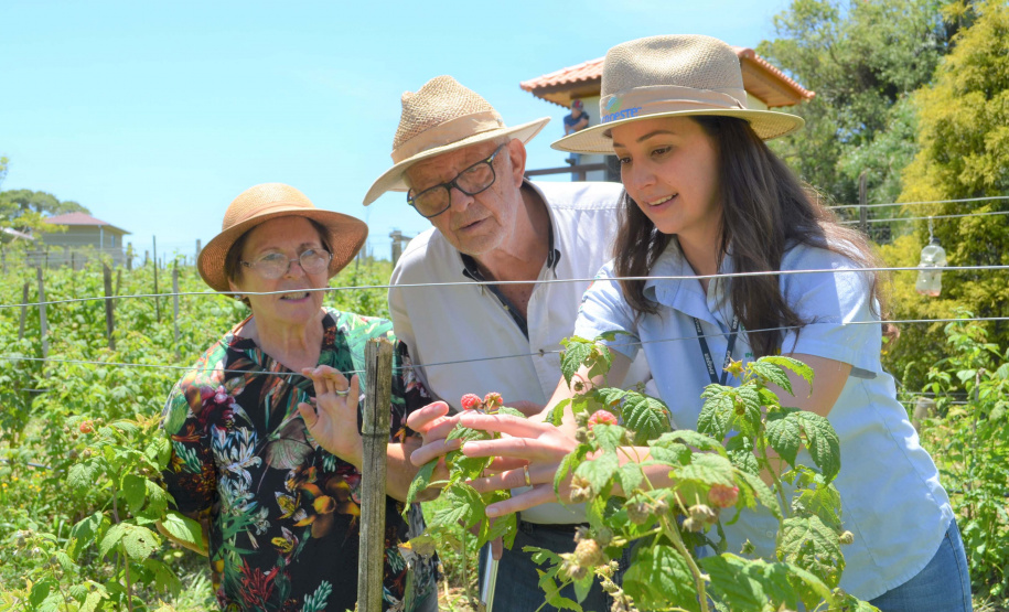 IDR-Paraná tem ações voltadas ao fortalecimento das mulheres no meio rural