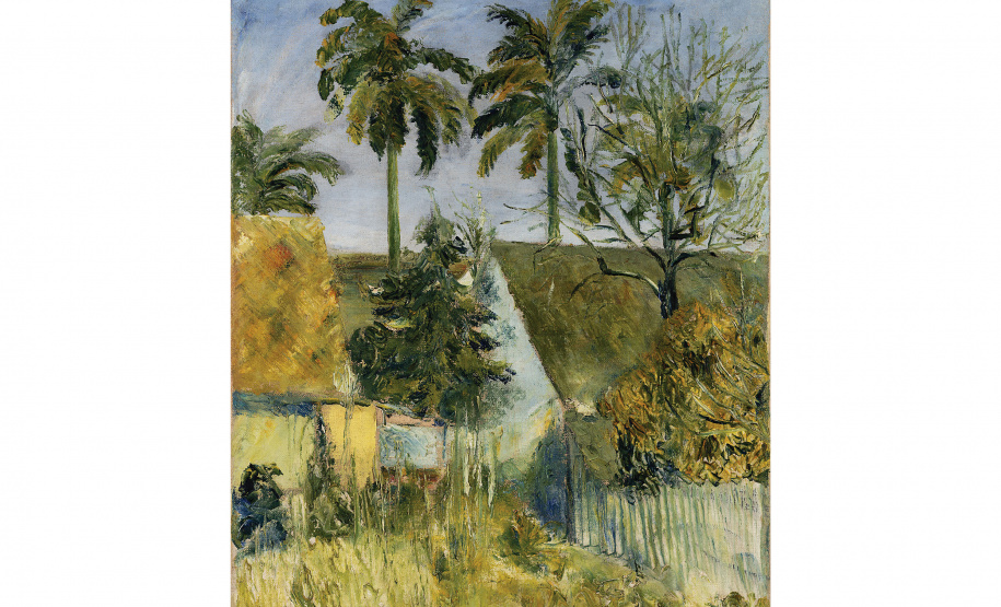 MON realiza exposição individual de Miguel Bakun