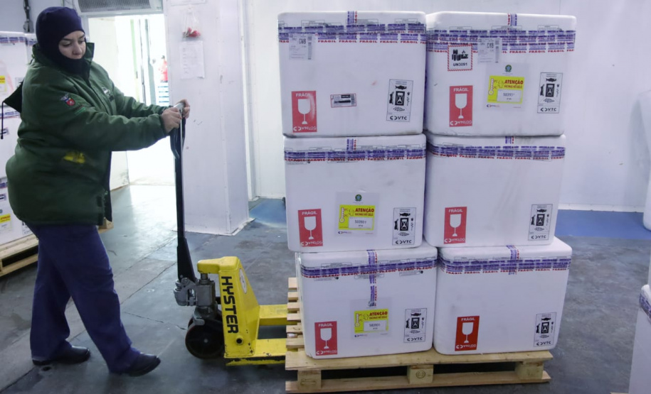 Paraná recebe 332 mil vacinas contra Influenza e se prepara para início da campanha