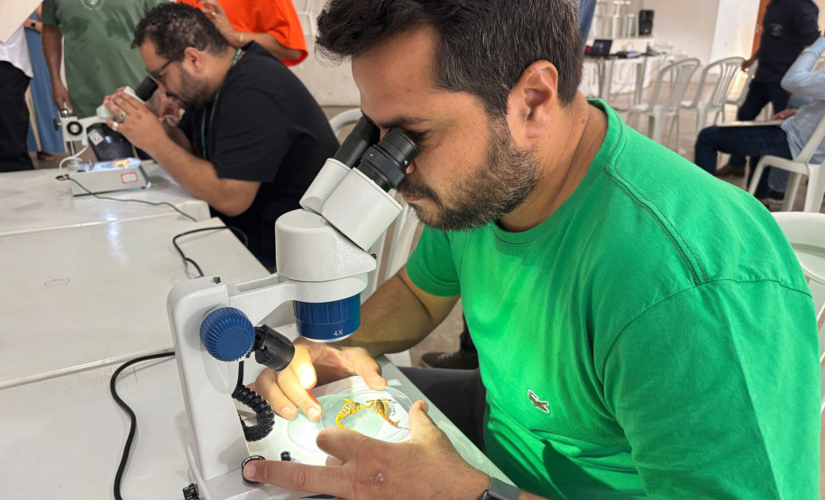 SESA CAPACITAÇÃO ACIDENTES ANIMAIS PEÇONHENTOS