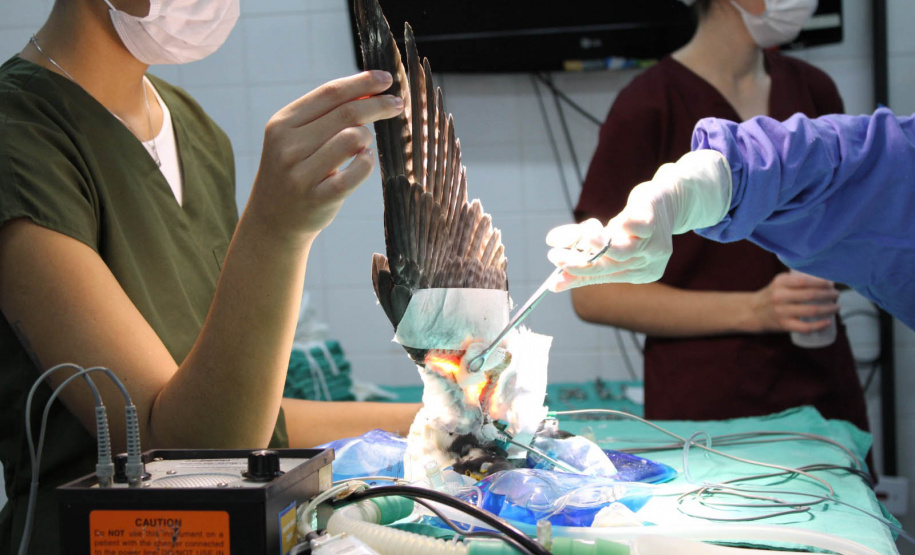 Prefeitura de Nova Santa Rosa