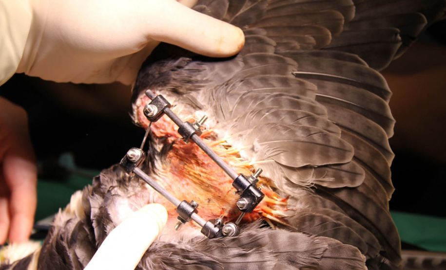 Prefeitura de Nova Santa Rosa