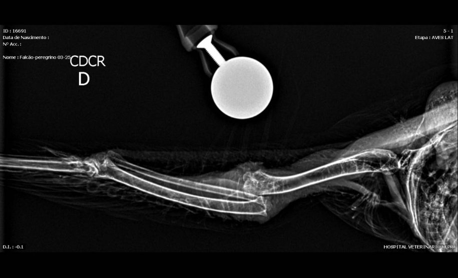 Prefeitura de Nova Santa Rosa