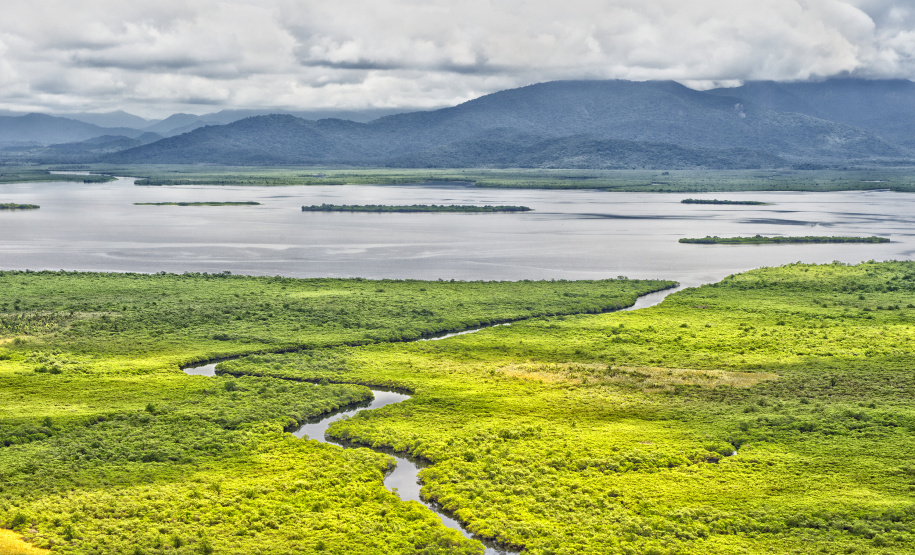 Paraná reduziu em 95% o desmatamento ilegal da Mata Atlântica entre 2021 e 2024, de acordo com dados do Instituto Água e Terra