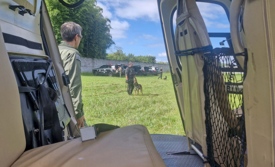 PCPR TREINA CÃES FAREJADORES