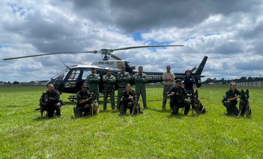 PCPR TREINA CÃES FAREJADORES