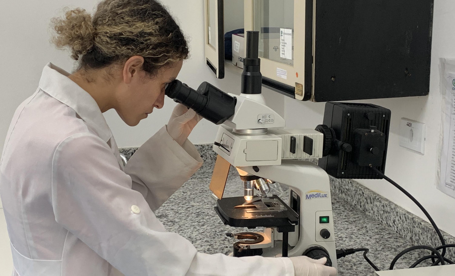 Primeira captura de aranhas-marrons do ano chega ao CPPI para extração do veneno