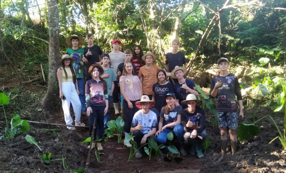 Ações ambientais organizadas pelo IAT para comemorar o Dia Mundial da Água distribuíram mais de oito mil mudas de espécies nativas