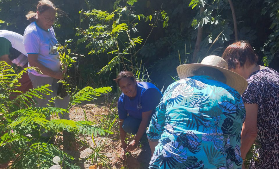 Ações ambientais organizadas pelo IAT para comemorar o Dia Mundial da Água distribuíram mais de oito mil mudas de espécies nativas